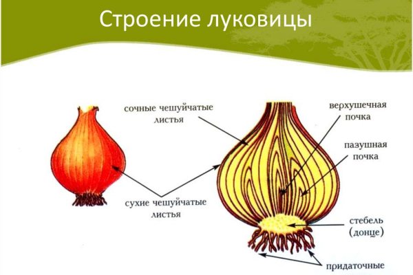 Что за приложение кракен