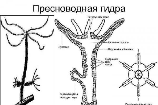 Kraken ссылка онион