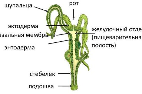 Kraken зайти на сайт