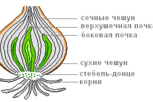 Кракен сайт наркота